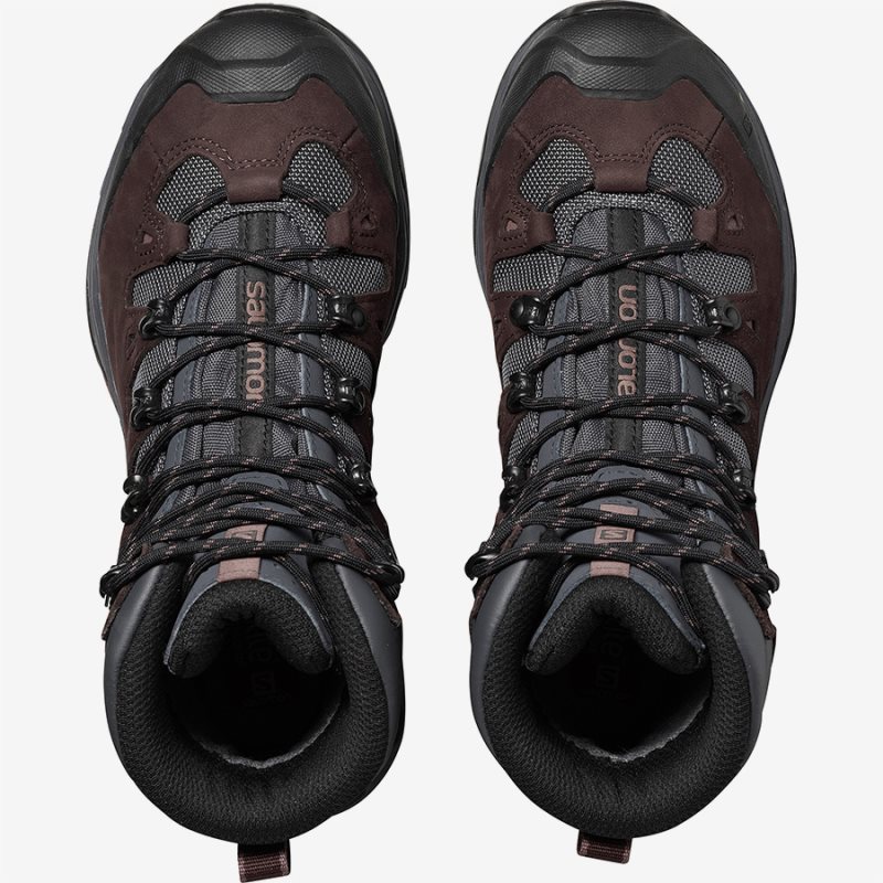 quest 4d gtx w