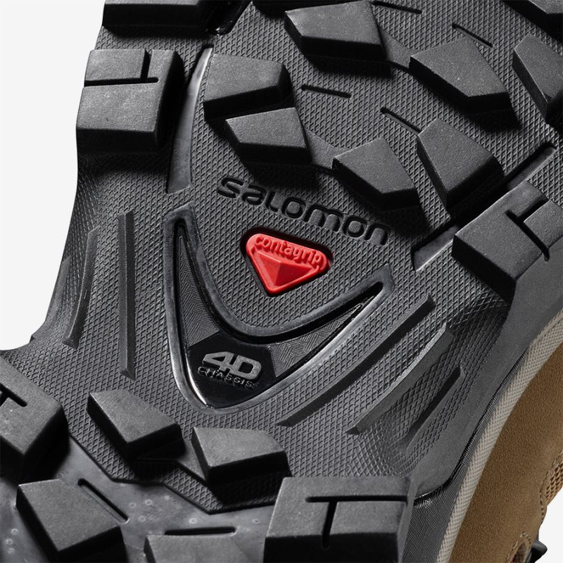 quest 4d gtx w